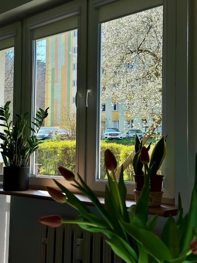 Uroczy Apartament - Сопот Экстерьер фото
